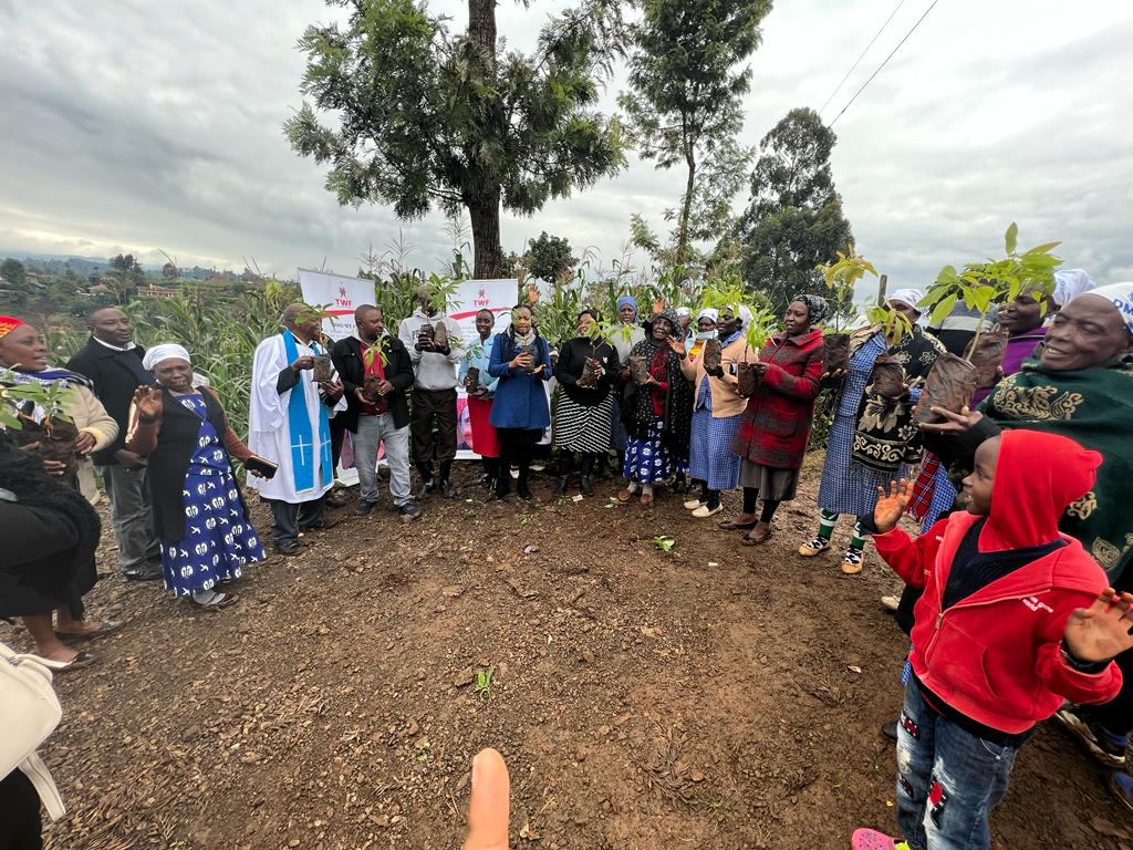 Seedling donation in support of conservation